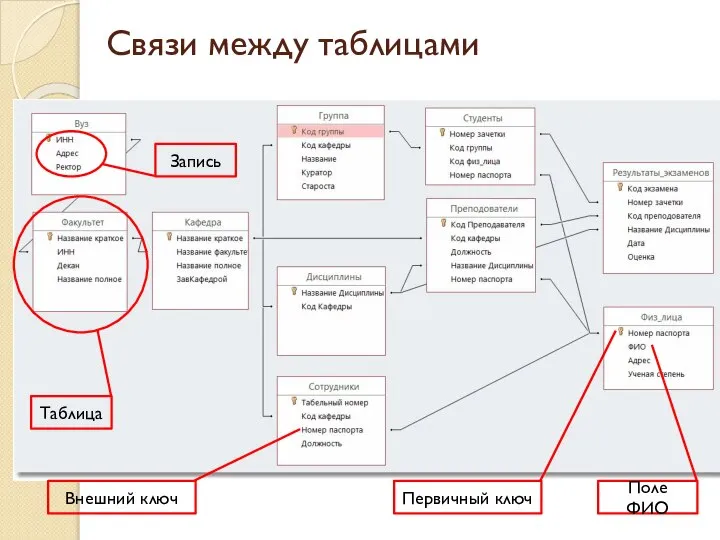 Связи между таблицами Первичный ключ Поле ФИО Внешний ключ Таблица Запись