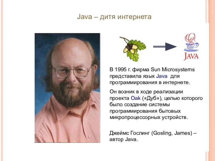 Java – дитя интернета В 1995 г. фирма Sun Microsystems представила