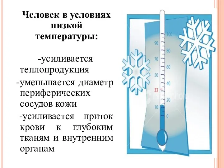 Человек в условиях низкой температуры: -усиливается теплопродукция -уменьшается диаметр периферических сосудов