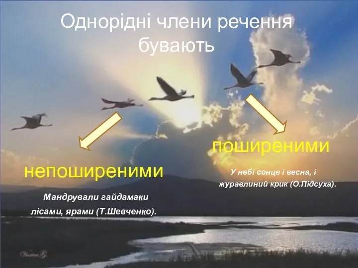 Однорідні члени речення бувають непоширеними Мандрували гайдамаки лісами, ярами (Т.Шевченко). поширеними