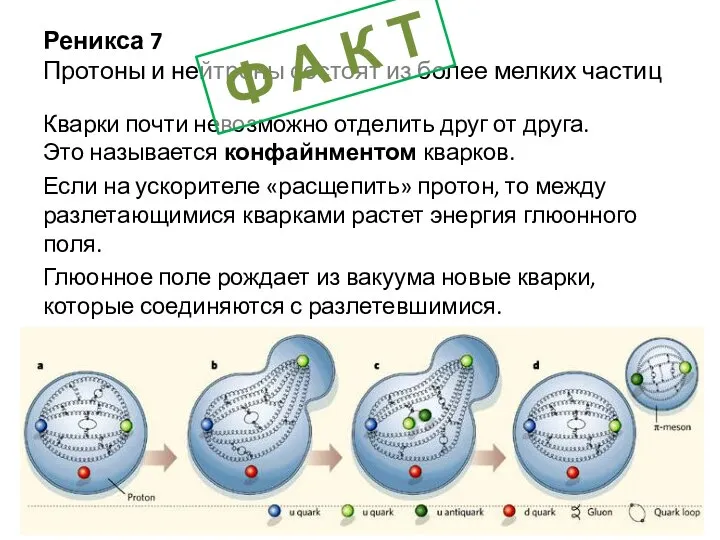 Реникса 7 Протоны и нейтроны состоят из более мелких частиц Кварки