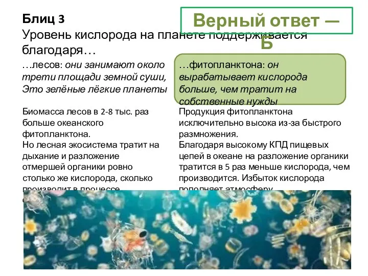 Блиц 3 Уровень кислорода на планете поддерживается благодаря… …лесов: они занимают