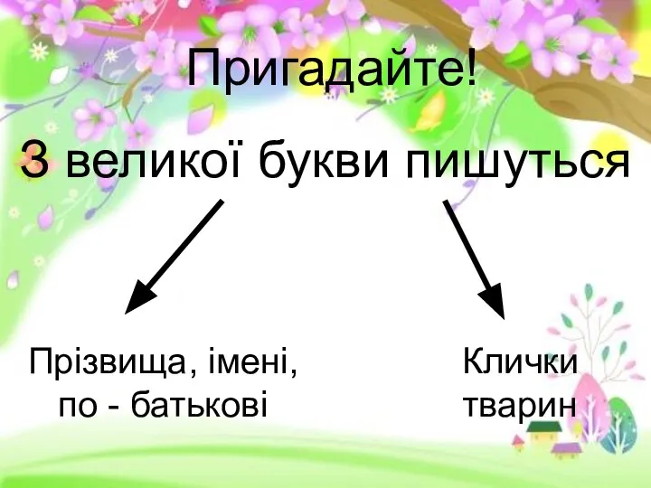 З великої букви пишуться Прізвища, імені, по - батькові Клички тварин Пригадайте!