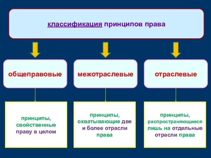 общеправовые принципы, свойственные праву в целом классификация принципов права межотраслевые отраслевые