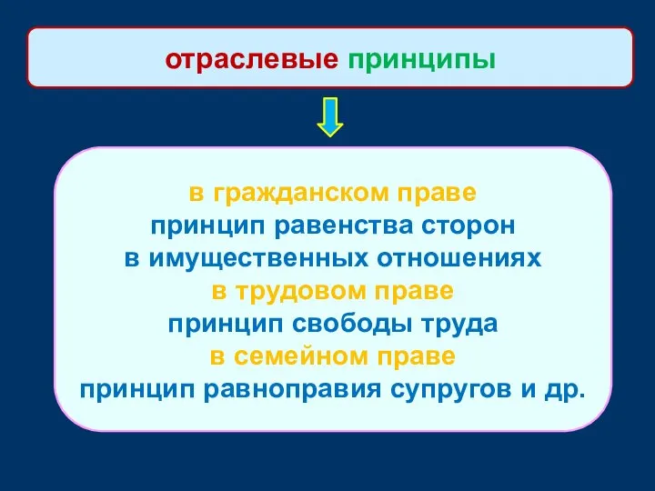 отраслевые принципы в гражданском праве принцип равенства сторон в имущественных отношениях