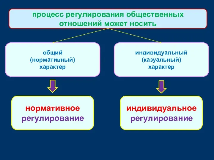 процесс регулирования общественных отношений может носить общий (нормативный) характер индивидуальный (казуальный) характер нормативное регулирование индивидуальное регулирование