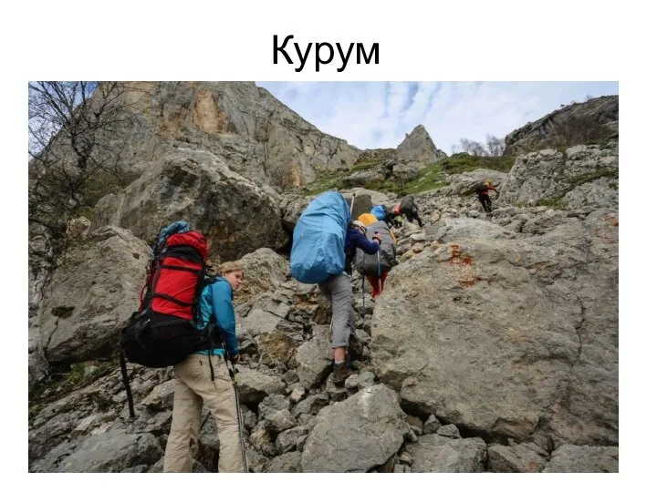 Курум