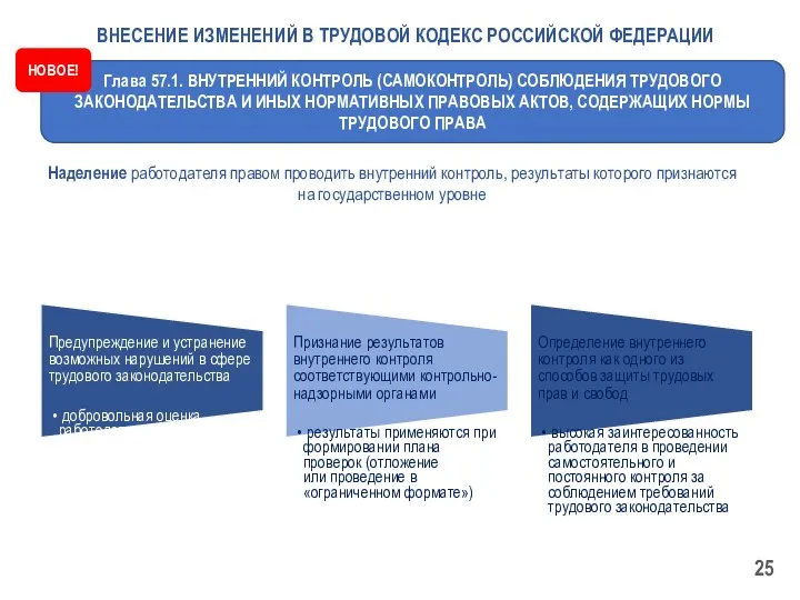 Наделение работодателя правом проводить внутренний контроль, результаты которого признаются на государственном