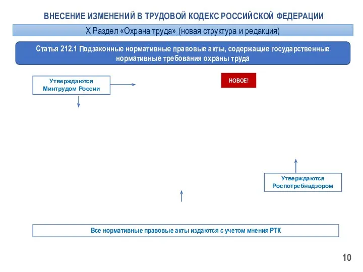 ВНЕСЕНИЕ ИЗМЕНЕНИЙ В ТРУДОВОЙ КОДЕКС РОССИЙСКОЙ ФЕДЕРАЦИИ Статья 212.1 Подзаконные нормативные