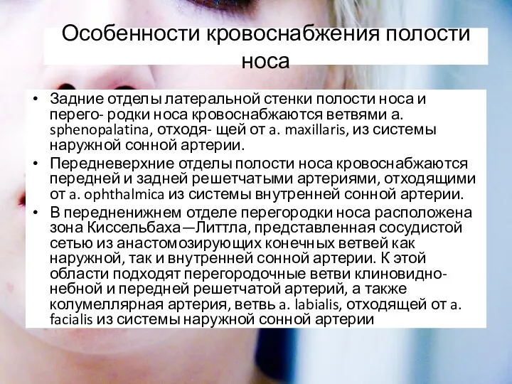 Особенности кровоснабжения полости носа Задние отделы латеральной стенки полости носа и