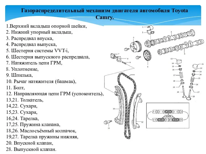 1.Верхний вкладыш опорной шейки, 2. Нижний упорный вкладыш, 3. Распредвал впуска,