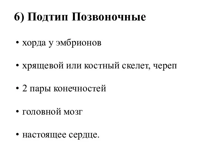 6) Подтип Позвоночные хорда у эмбрионов хрящевой или костный скелет, череп