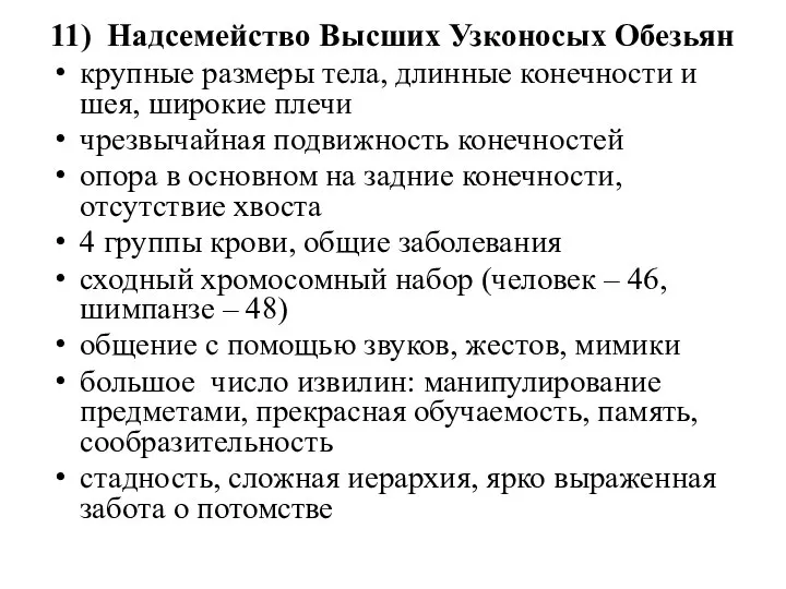 11) Надсемейство Высших Узконосых Обезьян крупные размеры тела, длинные конечности и