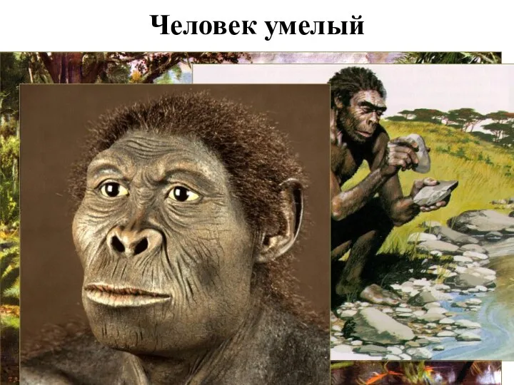 Человек умелый