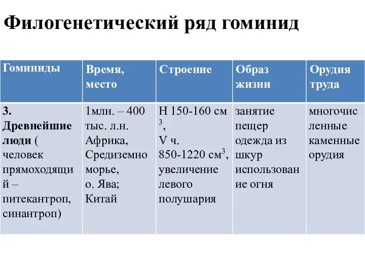 Филогенетический ряд гоминид