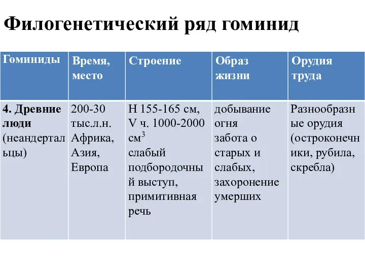 Филогенетический ряд гоминид