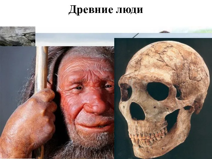 Древние люди