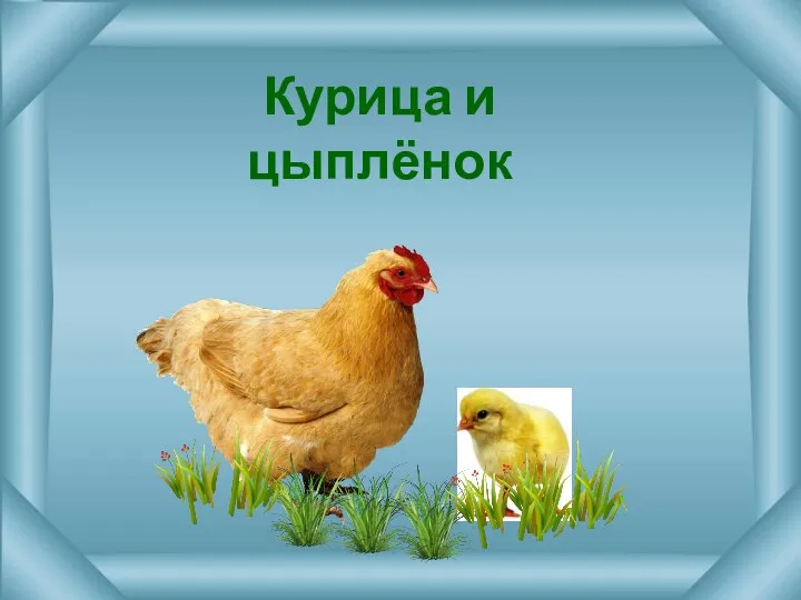 Курица и цыплёнок