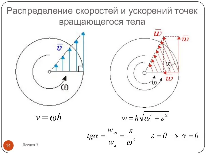 Распределение скоростей и ускорений точек вращающегося тела Лекция 7