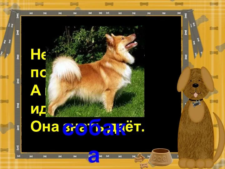 Отгадай загадку. Не говорит и не поёт, А кто к хозяину идёт, Она знать даёт. собака