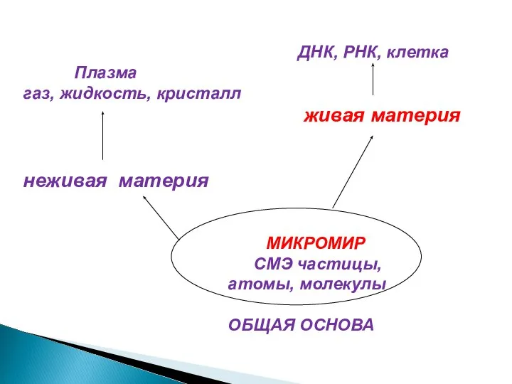 ДНК, РНК, клетка Плазма газ, жидкость, кристалл живая материя неживая материя