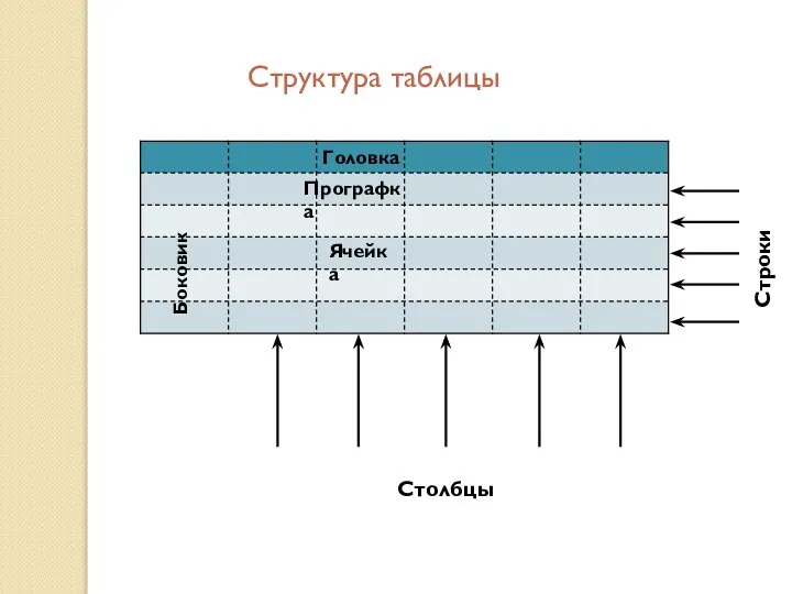 Структура таблицы Головка Боковик Ячейка Прографка Столбцы Строки