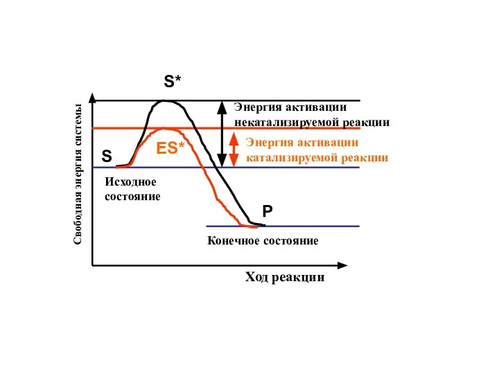 Свободная энергия системы Ход реакции Исходное состояние Конечное состояние Энергия активации