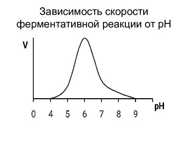 Зависимость скорости ферментативной реакции от рН