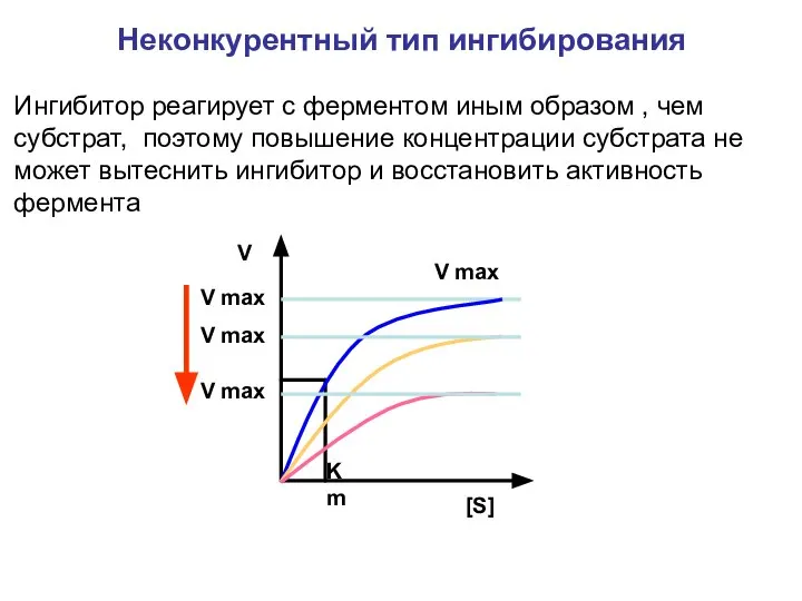 Ингибитор реагирует с ферментом иным образом , чем субстрат, поэтому повышение