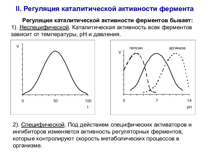 II. Регуляция каталитической активности фермента Регуляция каталитической активности ферментов бывает: 1).