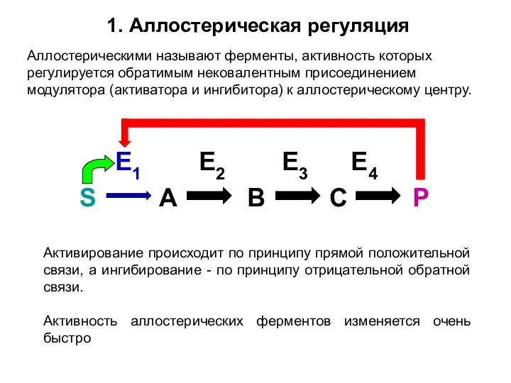 1. Аллостерическая регуляция Аллостерическими называют ферменты, активность которых регулируется обратимым нековалентным