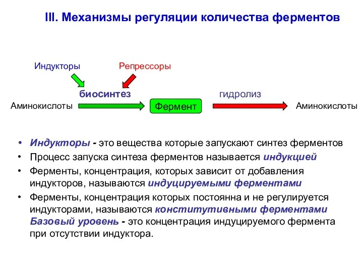 III. Механизмы регуляции количества ферментов Индукторы - это вещества которые запускают