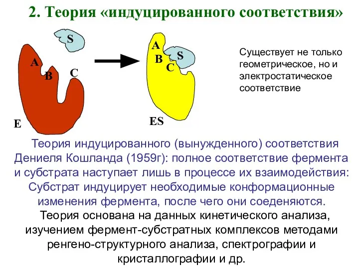 2. Теория «индуцированного соответствия» A B C S E B A