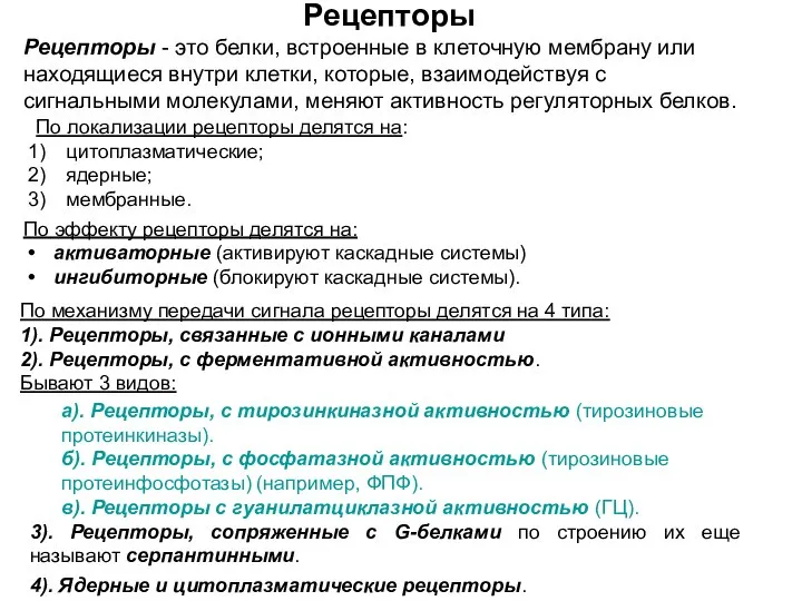 Рецепторы По эффекту рецепторы делятся на: активаторные (активируют каскадные системы) ингибиторные