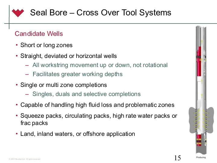 Seal Bore – Cross Over Tool Systems Candidate Wells Short or