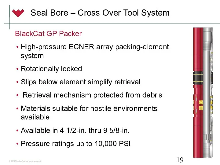 Seal Bore – Cross Over Tool System BlackCat GP Packer High-pressure