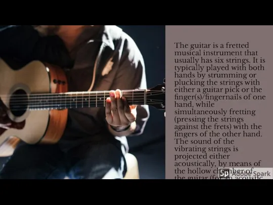 The guitar is a fretted musical instrument that usually has six