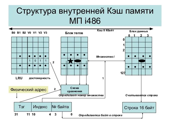 Структура внутренней Кэш памяти МП i486 B0 B1 B2 V0 V1