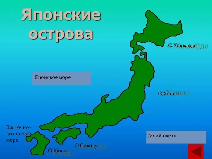 Тихий океан Японское море Восточно-китайское море О.Хоккайдо О.Хонсю О.Сикоку О.Кюсю