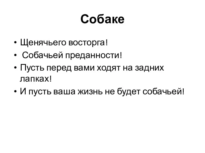 Собаке Щенячьего восторга! Собачьей преданности! Пусть перед вами ходят на задних