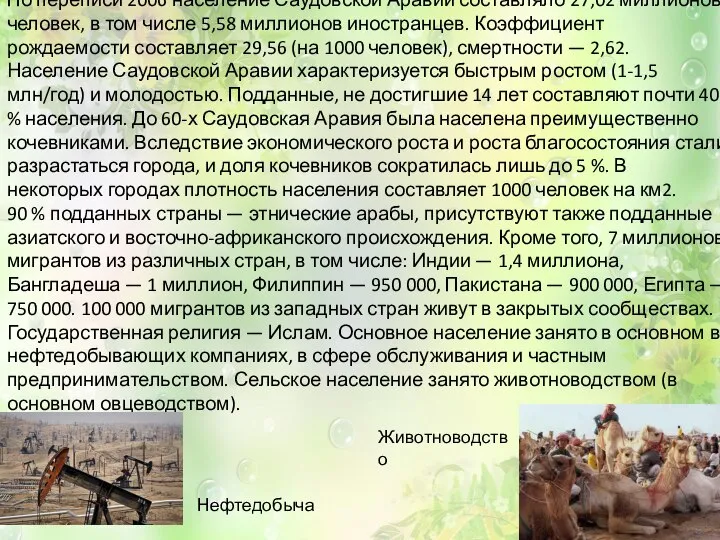 По переписи 2006 население Саудовской Аравии составляло 27,02 миллионов человек, в