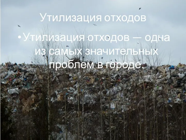 Утилизация отходов Утилизация отходов — одна из самых значительных проблем в городе.