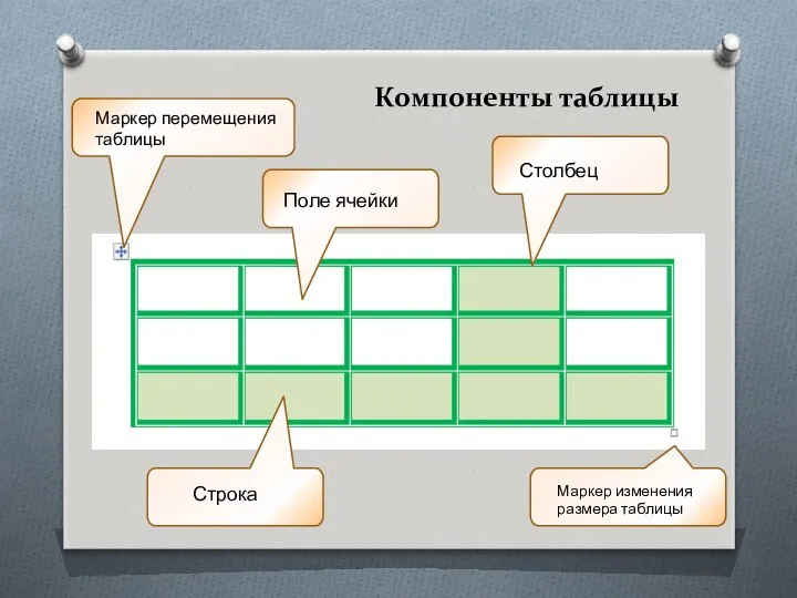 Компоненты таблицы Столбец Строка Поле ячейки Маркер перемещения таблицы Маркер изменения размера таблицы