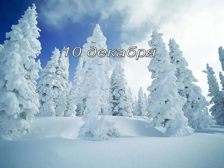 процед 10 декабря