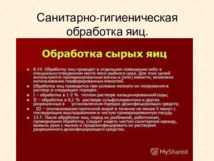 Санитарно-гигиеническая обработка яиц.