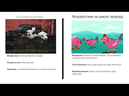 Возобновление Воздействие на дикую природу Вторичное использование отходов Раздельный сбор мусора