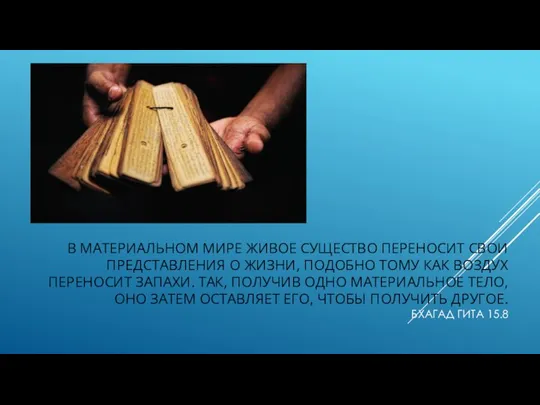 В МАТЕРИАЛЬНОМ МИРЕ ЖИВОЕ СУЩЕСТВО ПЕРЕНОСИТ СВОИ ПРЕДСТАВЛЕНИЯ О ЖИЗНИ, ПОДОБНО