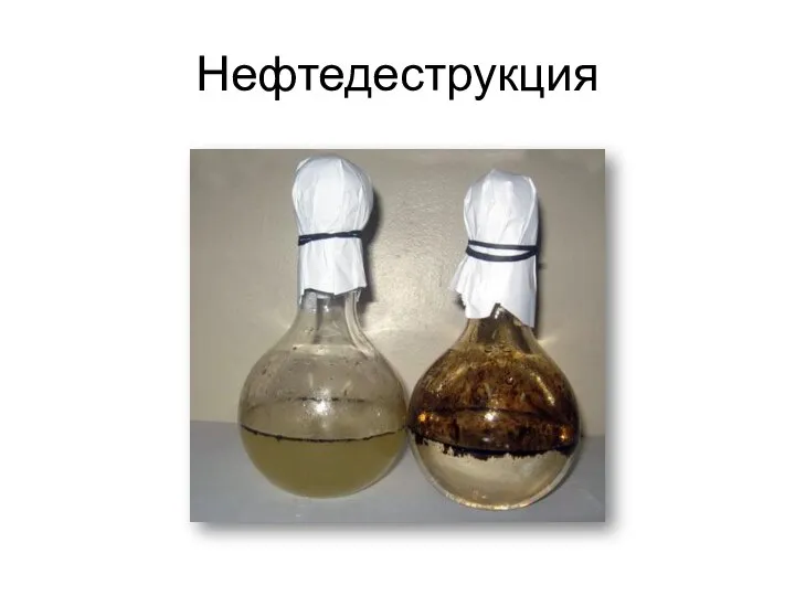 Нефтедеструкция