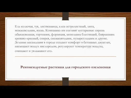 Ель колючая, туя, лиственница, клен остролистный, липа, можжевельник, ясень. Компанию им