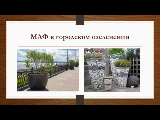 МАФ в городском озеленении